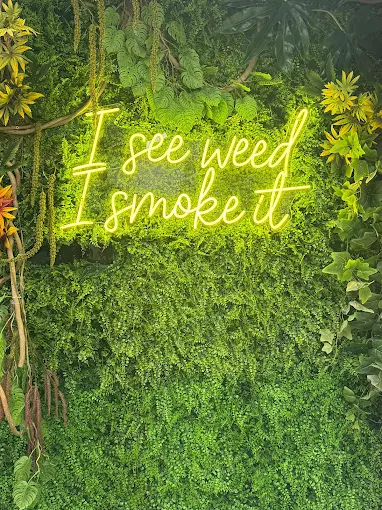 Neon Hamm & Chaz sign glowing inside the Jersey City dispensary