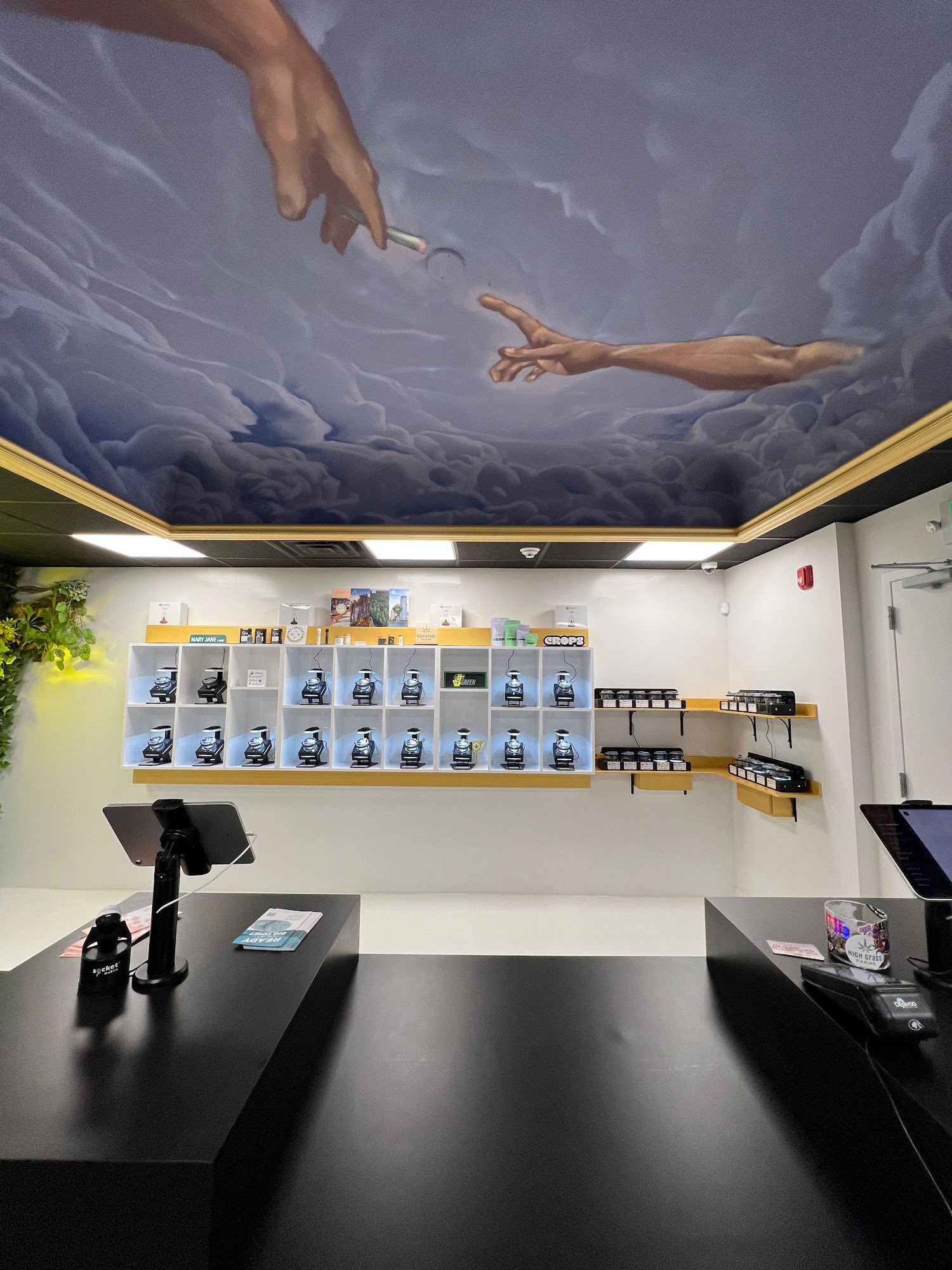 Inside Hamm & Chaz on West Side Ave, Jersey City — the strain library beneath the ceiling mural