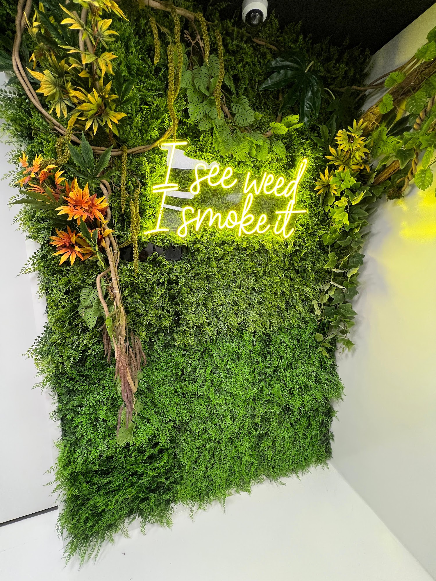 The living plant wall and neon sign inside Hamm & Chaz on West Side Ave, Jersey City